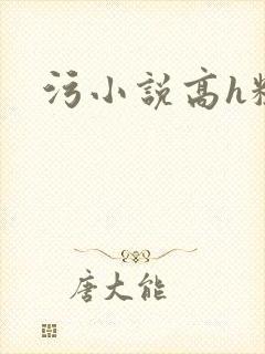 污小说高h粗口封面