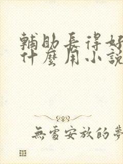 辅助长得好看有什么用小说