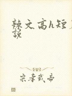 辣文高h短篇小说