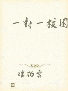 一对一校园h文封面