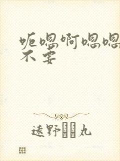 呃嗯啊嗯嗯啊啊不要