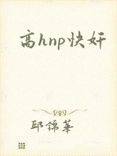 高hnp快奸