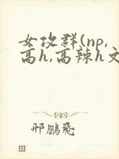 女攻群(np,高h,高辣h文)