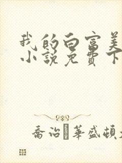 我的白富美老婆小说免费下载