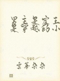 男主是宸王女主是穿越的小说封面