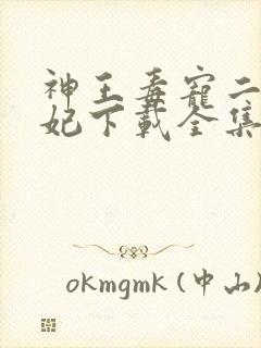 神王毒宠二嫁王妃下载全集txt下载