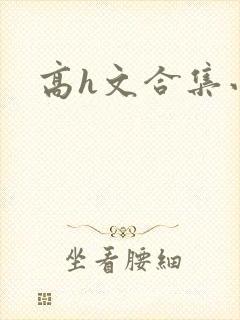 高h文合集小说