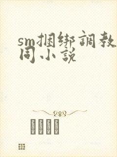 sm捆绑调教女同小说