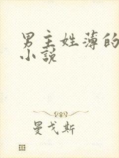 男主姓薄的总裁小说