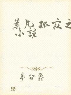 叶凡 孤寂之狼 小说