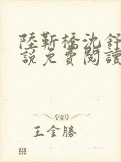 陆靳桥沈舒宁小说免费阅读最新章节