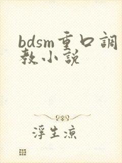 bdsm重口调教小说封面