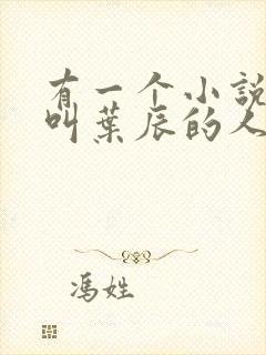 有一个小说主角叫叶辰的人