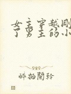 女主穿越刚好救了男主的小说