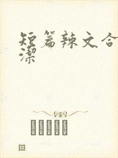 短篇辣文合集白洁