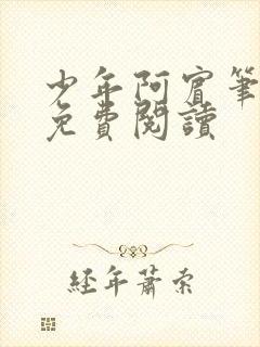 少年阿宾笔趣阁免费阅读