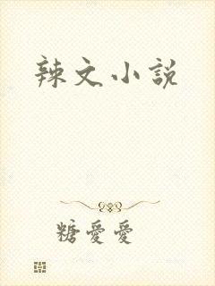 辣文小说