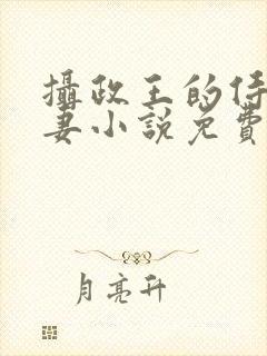 摄政王的侍爱逃妻小说免费阅读封面