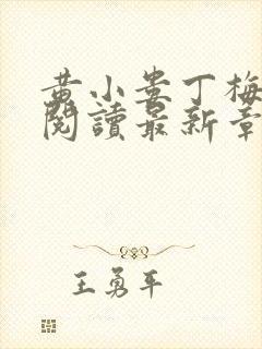 黄小娄丁梅免费阅读最新章节