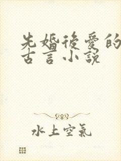 先婚后爱的帝后古言小说