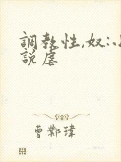 调教性,奴:小说虐封面