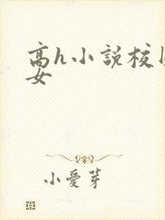 高h小说校园男女