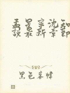 孟星宁沈知聿小说最新章节免费阅读