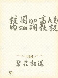 校园np高h纯肉sm调教校花封面