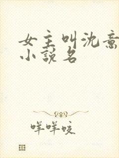 女主叫沈意欢的小说名