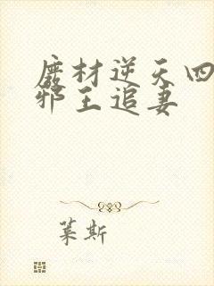 废材逆天四小姐邪王追妻