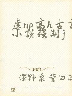 虐np高h古言小说强制j