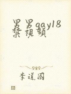 男男gay18禁视频