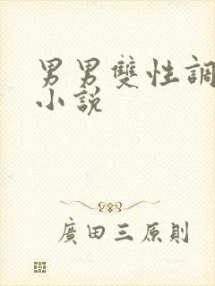 男男双性调教h小说封面