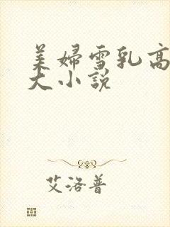 美妇雪乳高耸硕大小说封面