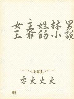 女主姓林男主是王爷的小说