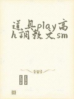 道具play高h调教文sm