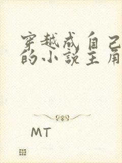 穿越成自己笔下的小说主角