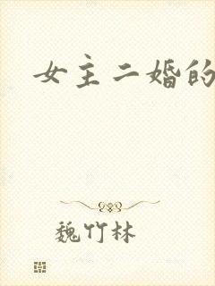 女主二婚的古言