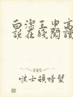 白洁王申高义小说在线阅读