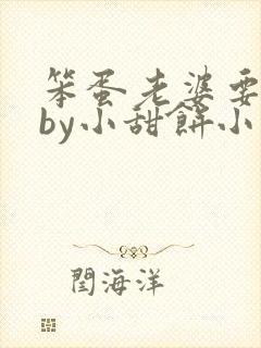 笨蛋老婆要闹了by小甜饼小说免费阅读