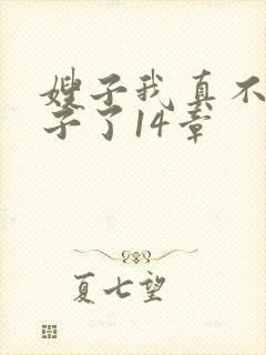 嫂子我真不是傻子了14章封面