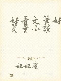 好看文笔好的高质量小说