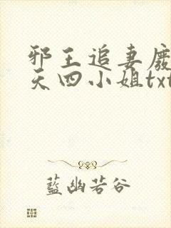 邪王追妻废材逆天四小姐txt下载封面