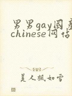 男男gay国产chinese网站