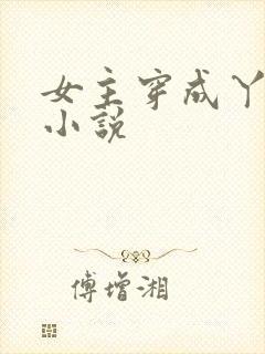 女主穿成丫鬟的小说封面