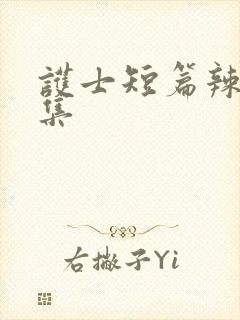 护士短篇辣文合集