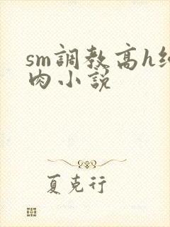 sm调教高h纯肉小说