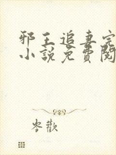 邪王追妻完整版小说免费阅读