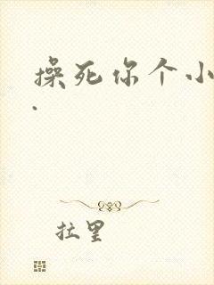 操死你个小骚货.