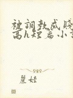 被调教成贱奴的高h短篇小说推荐